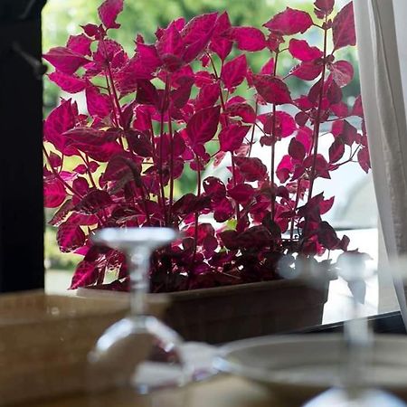 Hotel Annarita Rimini Dış mekan fotoğraf